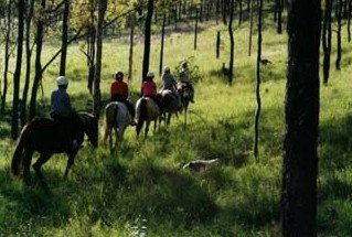 Hunter Valley Horse Riding And Adventures - Accommodation Asia 0
