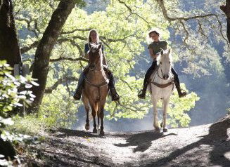 Hunter Valley Horse Riding And Adventures - Accommodation Asia 1