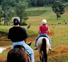 Hunter Valley Horse Riding And Adventures - Accommodation Asia 3