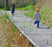 Hunter Wetlands Centre Australia - Accommodation China 1