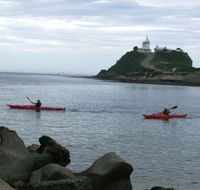 Newcastle Kayak Tours - Accommodation Guide