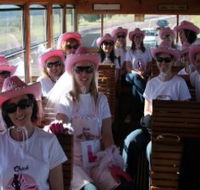Newcastles Famous Tram - Accommodation Guide