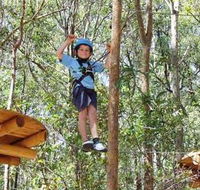 TreeTops Newcastle - Accommodation Guide