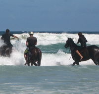 Pegasus Park Equestrian Centre - Accommodation Guide