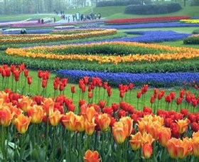 Botanica World Discoveries - Accommodation Guide 0