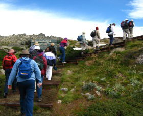 High Country Motel Tours - Accommodation Guide 2