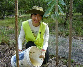Conservation Volunteers Australia - Sydney - Accommodation Asia 1