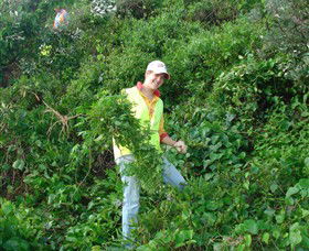 Conservation Volunteers Australia - Sydney - Accommodation Asia 2