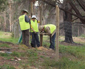 Conservation Volunteers Australia - Sydney - Accommodation Asia 4