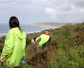 Conservation Volunteers Australia - Sydney - Accommodation Asia 5