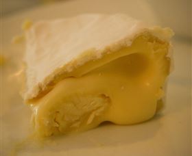 The Cheesemaking Workshop Sydney - Accommodation Asia 4