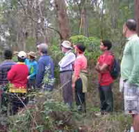 Boronia Tours - Accommodation Asia