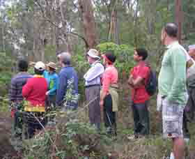 Boronia Tours - Accommodation Asia 0