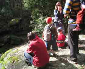 Boronia Tours - Accommodation Asia 2