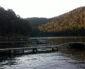 Church Point Ferry Service - Accommodation China 5