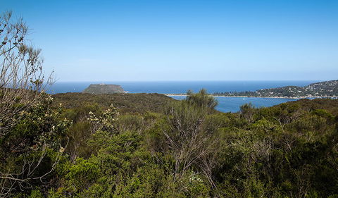 Aboriginal Heritage Walk - Accommodation Asia 1