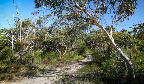 Aboriginal Heritage Walk - Accommodation Asia 2