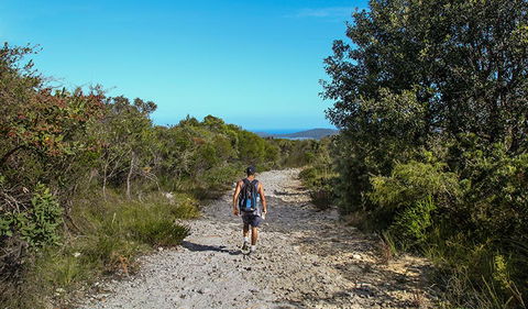 Aboriginal Heritage Walk - Accommodation Asia 3