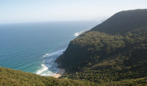 Palm Jungle Loop Track - Accommodation China 1