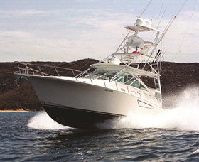 1300 Big Fish - Accommodation China 0