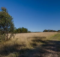 Scheyville horse riding trails - Accommodation Asia