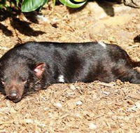 Symbio Wildlife Park - Accommodation Guide