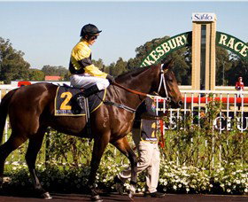 Hawkesbury Race Club - Accommodation Asia 2