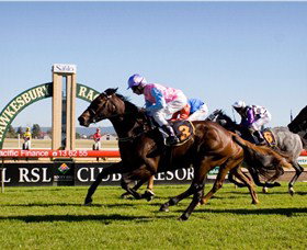 Hawkesbury Race Club - Accommodation Asia 1