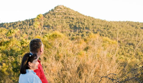Piles Creek Loop - Accommodation Asia 0
