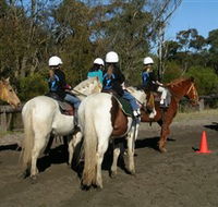 Darkes Forest Riding Ranch - Accommodation Guide