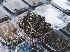Adelaide Farmers' Market Showground - Accommodation Guide 1