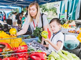 Adelaide Farmers' Market Showground - Accommodation Guide 0
