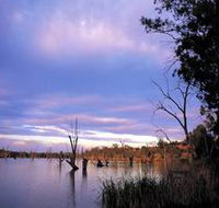 Loch Luna Game Reserve and Moorook Game Reserve - Accommodation Asia