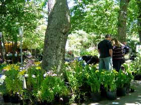 The Stirling Market - Accommodation Guide 0