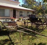 Mr and Mrs Behan Sulky Display - Accommodation China