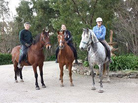 Mount George SA Accommodation Guide