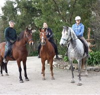 Academy of Dressage