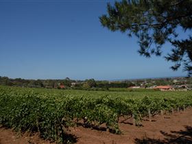 Onkaparinga Hills SA Accommodation China