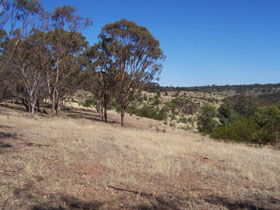 Onkaparinga River National Park - Accommodation China 0