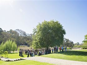 Howard Vineyard - Accommodation Guide 1