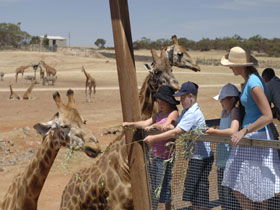 Monarto South SA Accommodation Guide