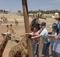 Monarto Open Range Zoo - Accommodation Guide