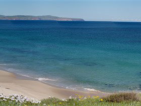 Carrickalinga Beach - Accommodation Asia 1
