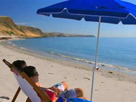 Wirrina Cove SA Accommodation Guide