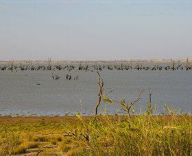 Lake Victoria - Accommodation Guide 0