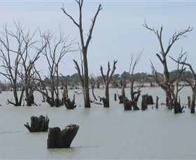 Lake Victoria - Accommodation Guide 4