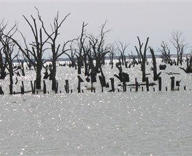 Lake Victoria - Accommodation Guide 5