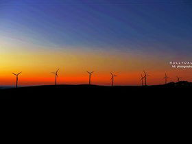 Starfish Hill Windfarm - Accommodation Asia 0