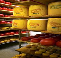 Alexandrina Cheese Company - Accommodation Guide