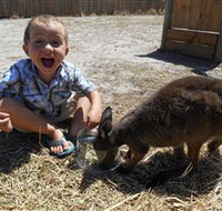 Animal Farm Goolwa - Accommodation Guide